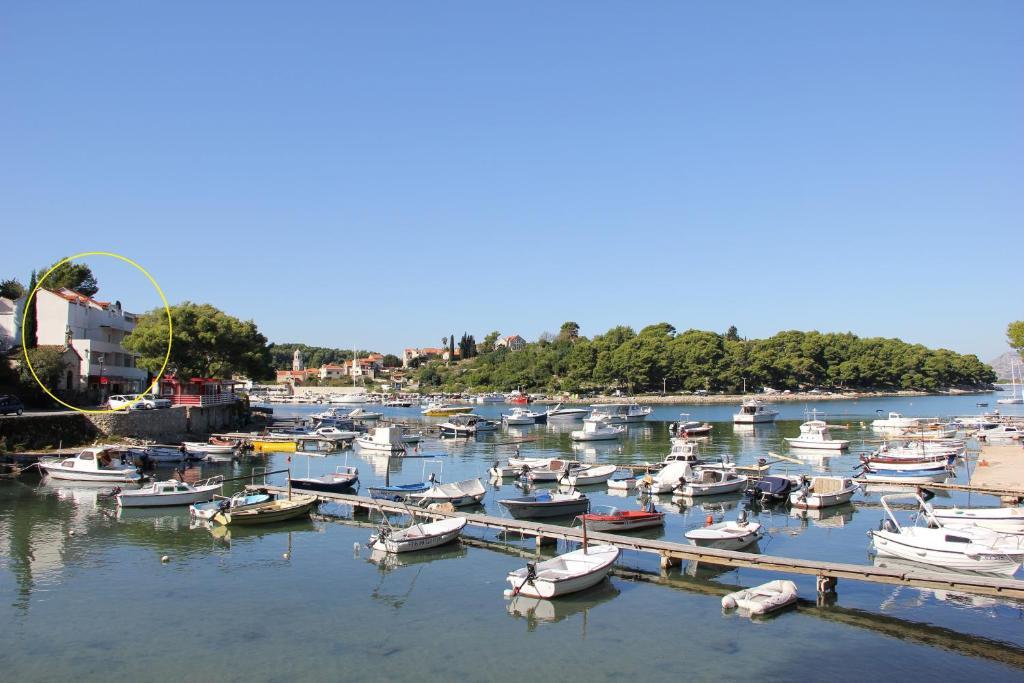 Vanda Seafront Superior Lägenhet Cavtat